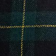 Zelena - Gordon Tartan